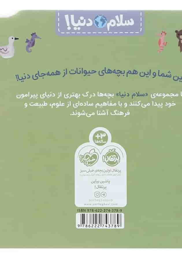 بچه های حیوانات مجموعه سلام دنیا پرتقال 