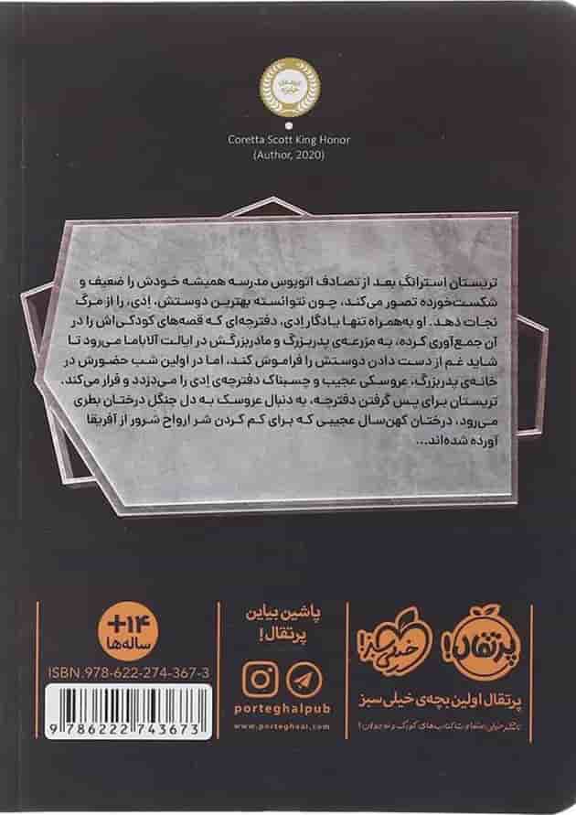 کتاب آتش در آسمان مجموعه مشت های افسانه ای جلد 1 