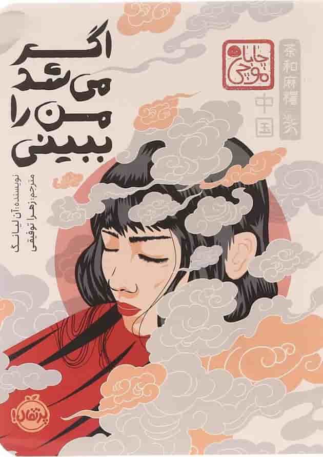 کتاب اگر می شد من را ببینی 