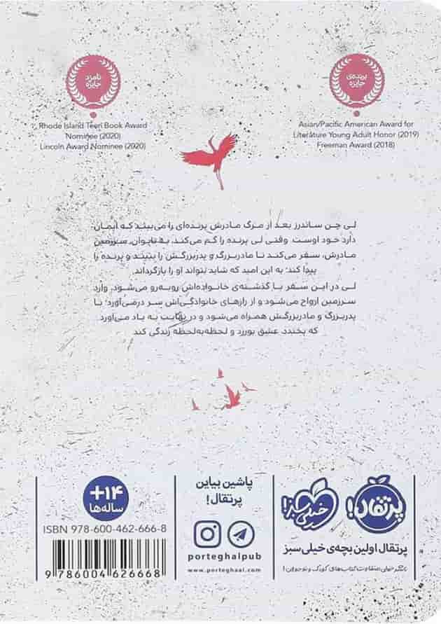 کتاب رنگ شگفت انگیز روح 