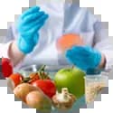 هنر آموز صنایع غذایی هنر آموز صنایع غذایی