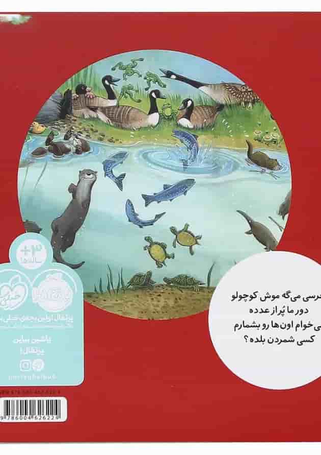 کتاب خرسی می تونه بشماره مجموعه خرسی و دوستاش کتاب خرسی می تونه بشماره مجموعه خرسی و دوستاش