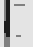 Thumbnail 1 Thumbnail 1