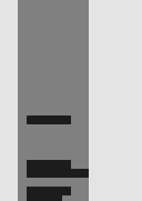 Thumbnail 0 Thumbnail 0